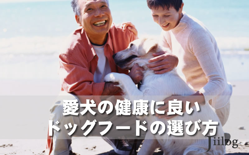 ドッグフード選び方